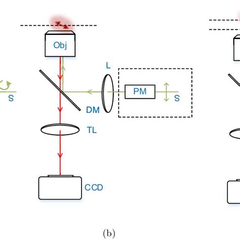 fluorescence polarimeter polarized light|super resolution fluorescence polarization.